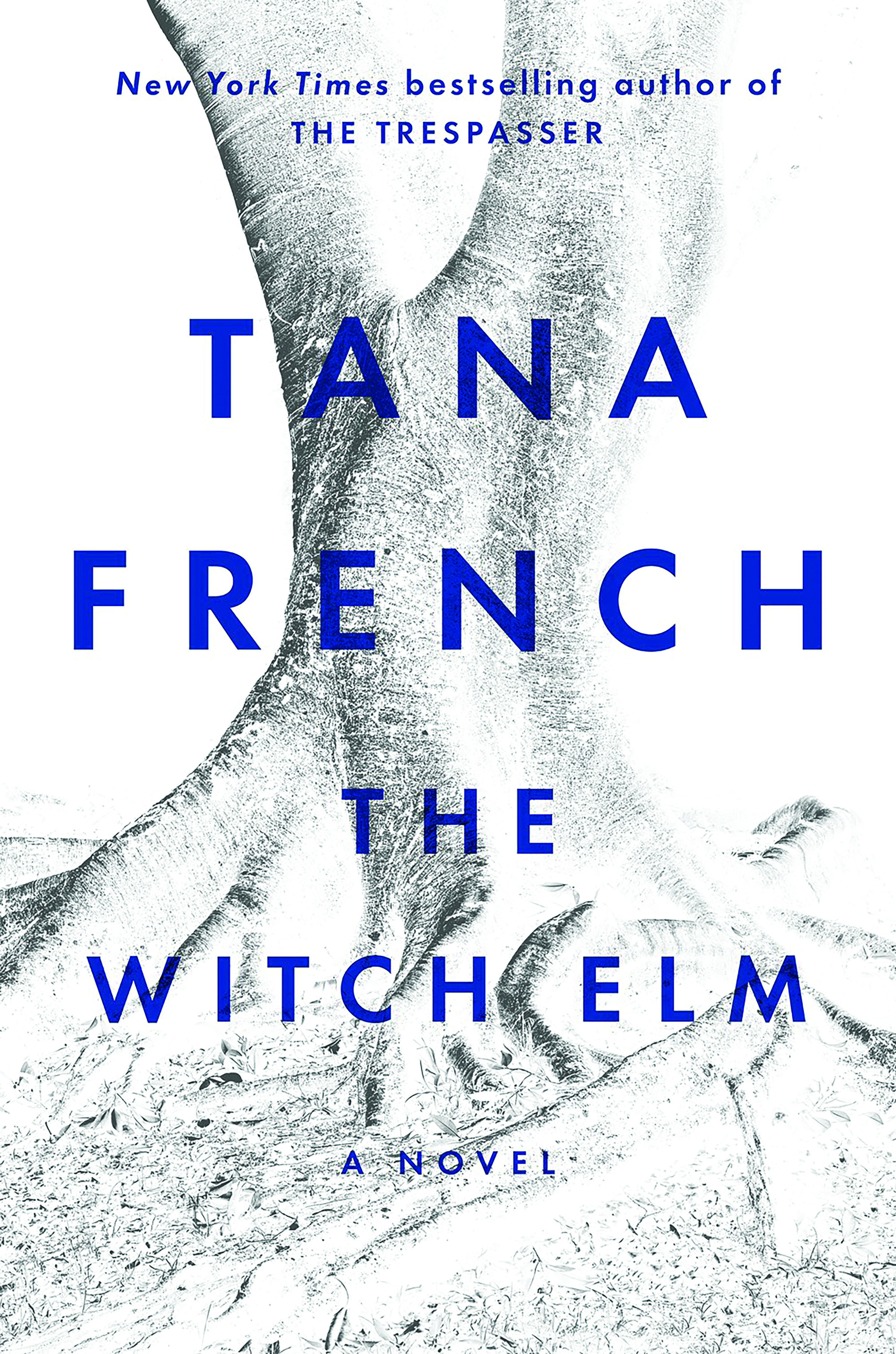 The Witch Elm